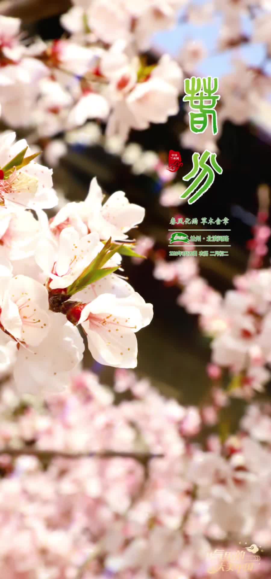 ��(ji��)����Ĵ����Ї�(gu��)�������m�ݣ����գ�����