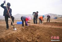 ���ʿ쿴�����C�]����